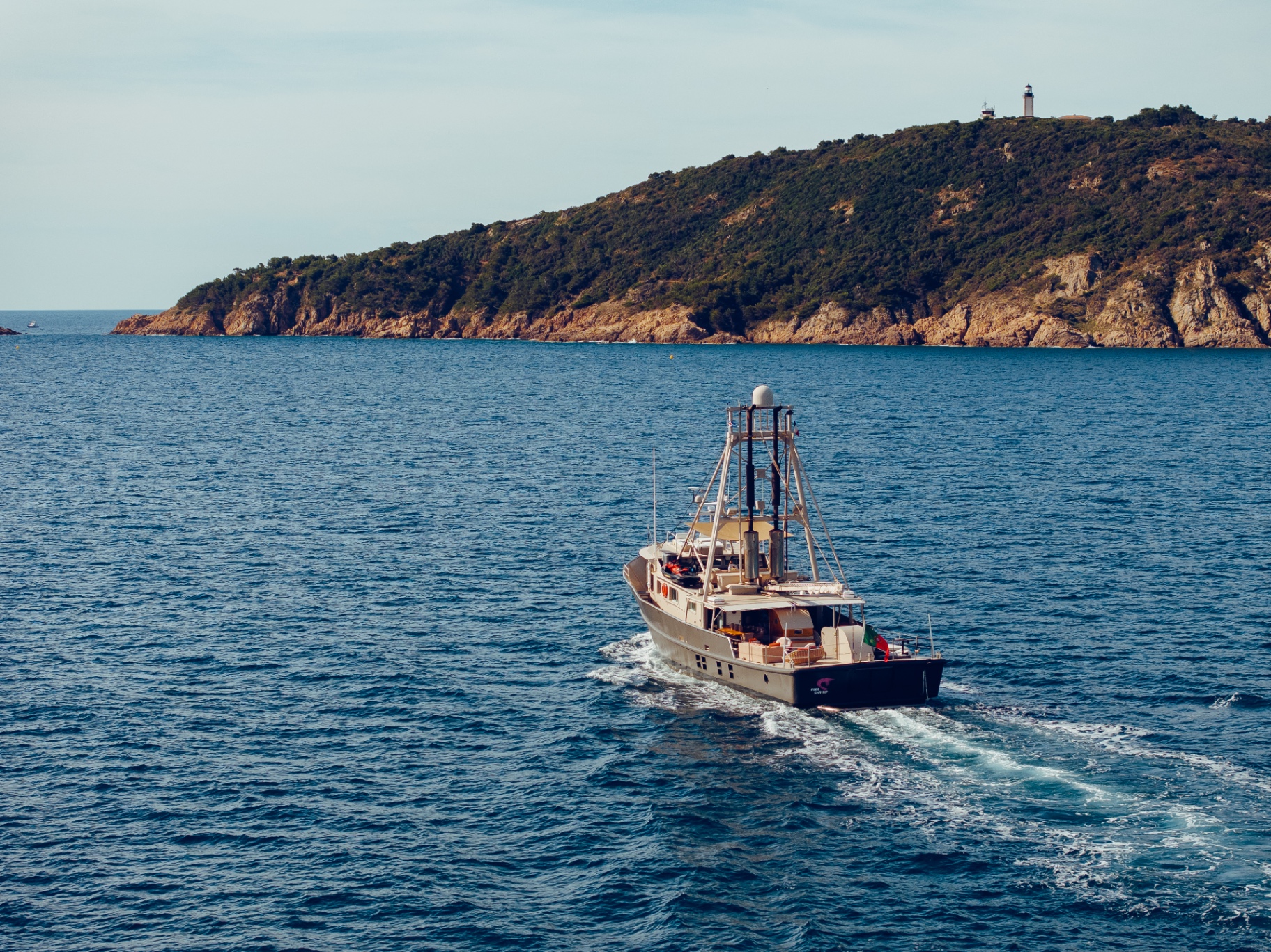 Pink Shrimp cruising past a headland
